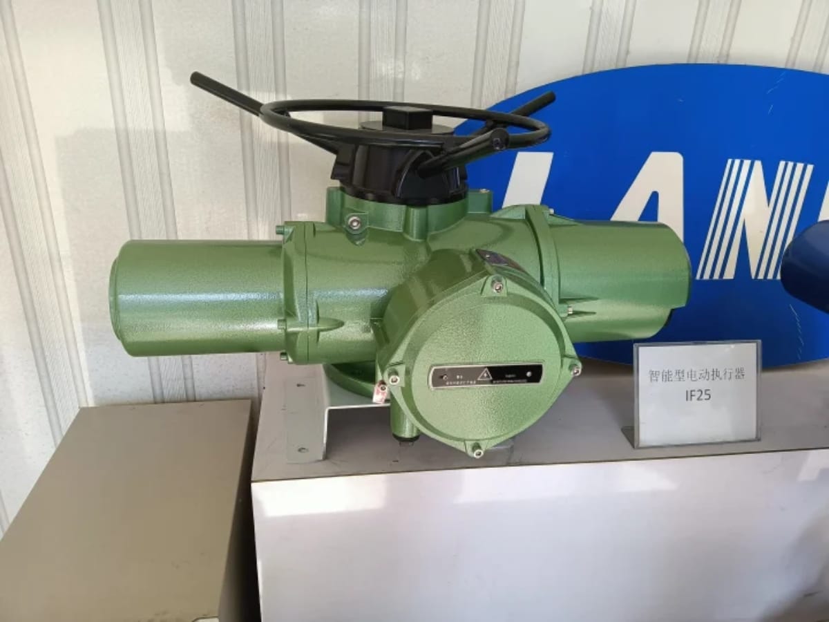 Screw hoist for water gate operation